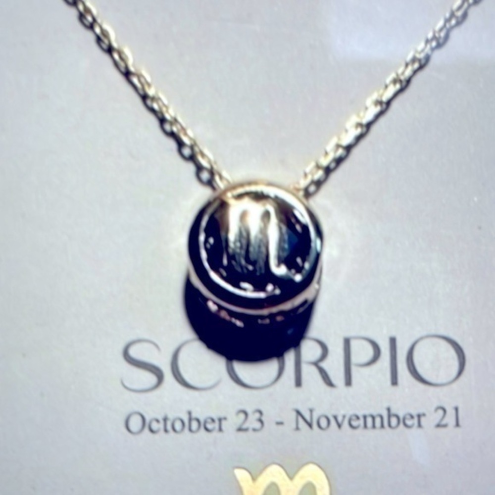 Scorpio  Astrology Necklace